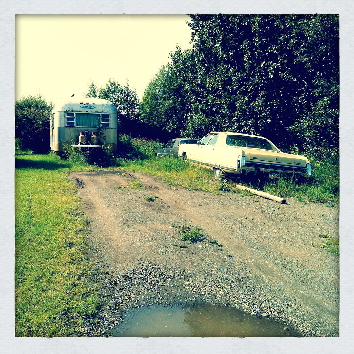 placeholder image-sq