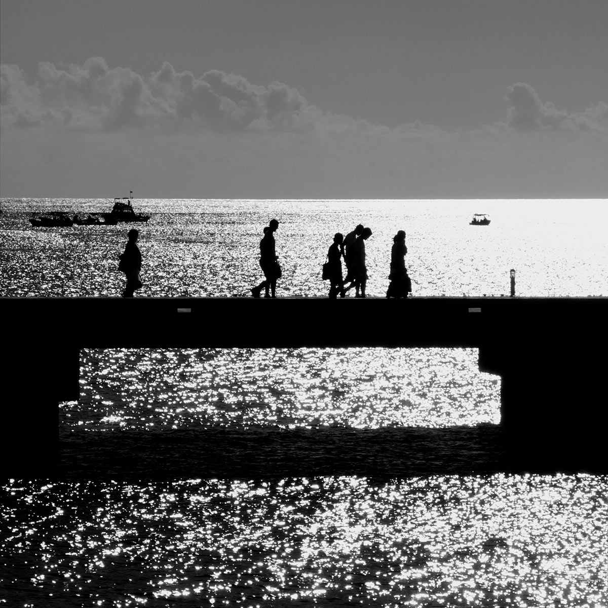 placeholder image-sq